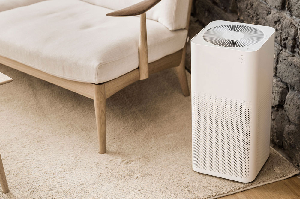 How an Air Purifier Can Put Your Allergies On Hold